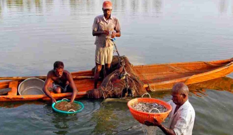 10 फरवरी को तहसील मेरठ में होगी मत्स्य पट्टो की नीलामी